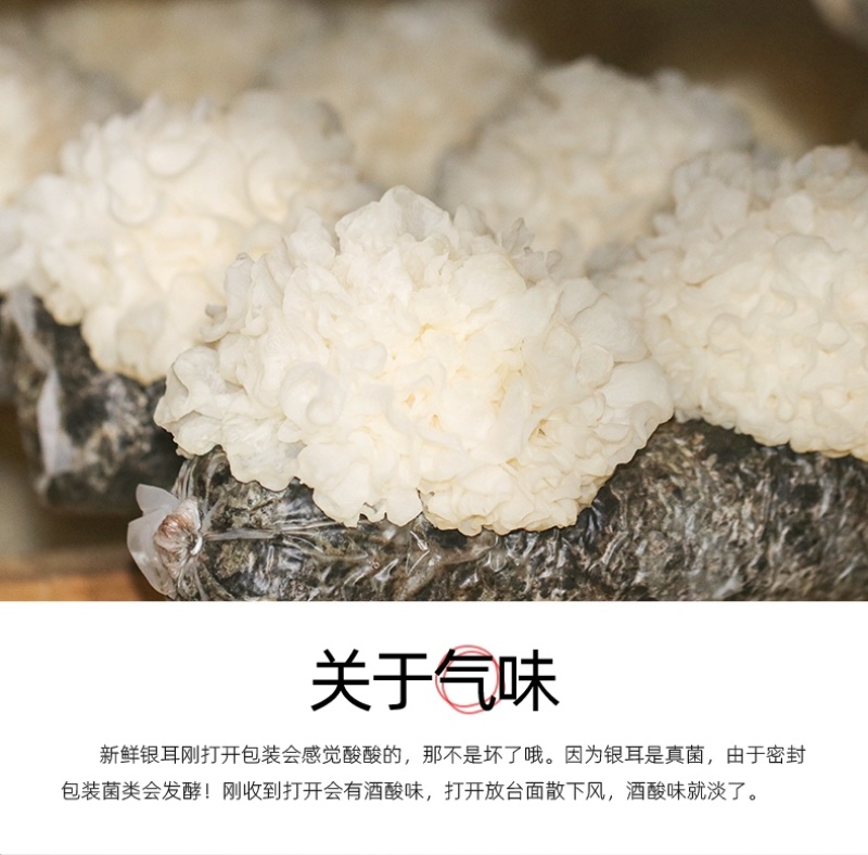 新鲜银耳6朵活耳糯耳白木耳雪耳