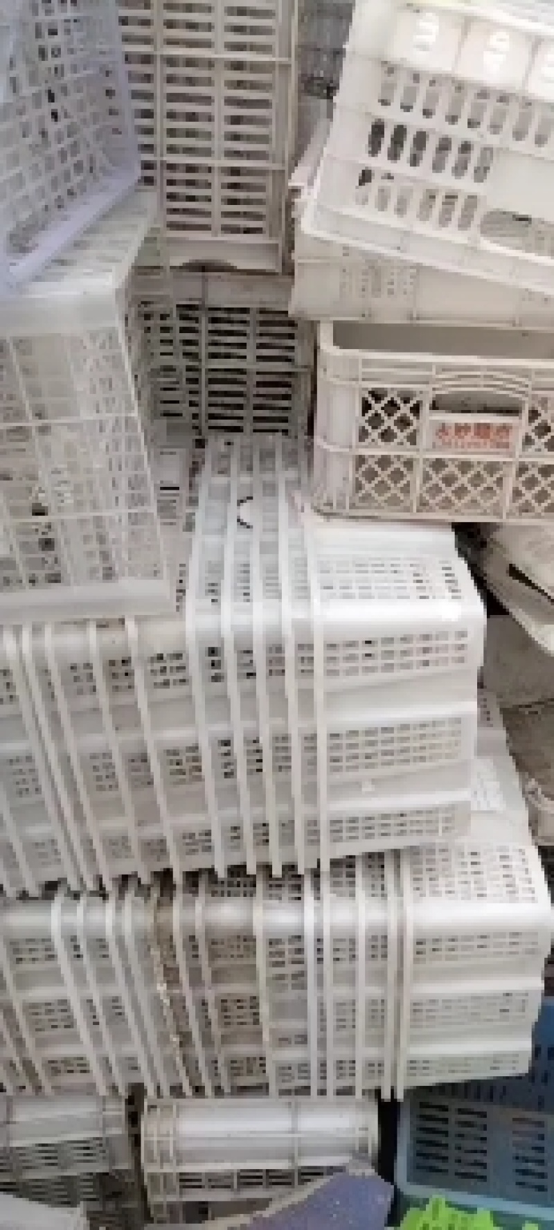 鱼台鹏辉塑业二手香蕉箱子