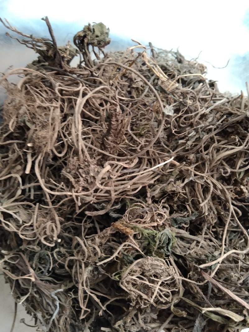 蜘蛛香，常年批发供应各种规格冷背中药材蜘蛛香，量大从优