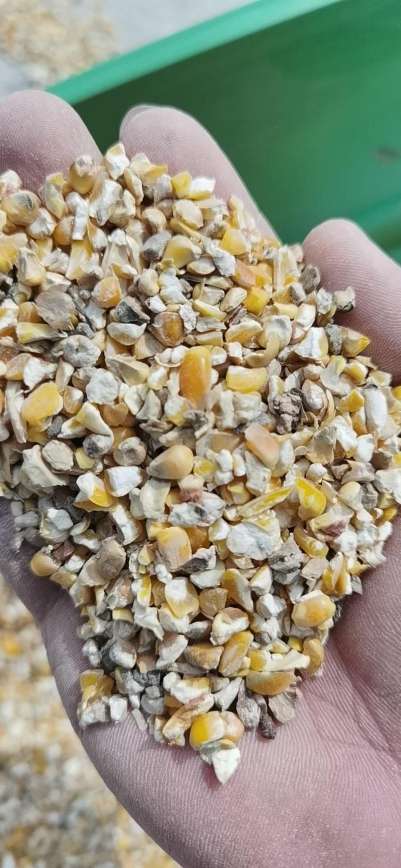 碎玉米，碎小麦筛漏