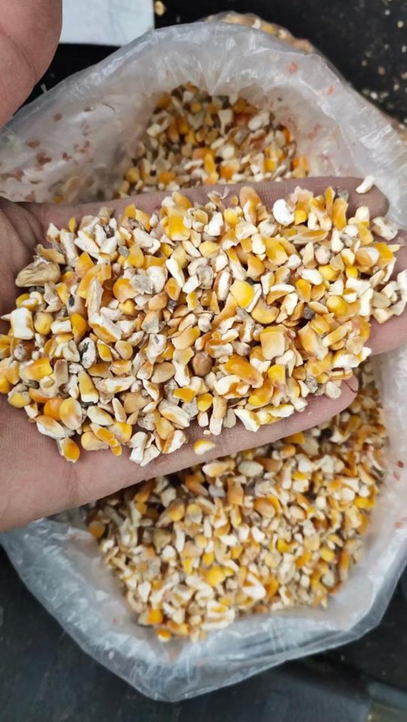 碎玉米，碎小麦筛漏