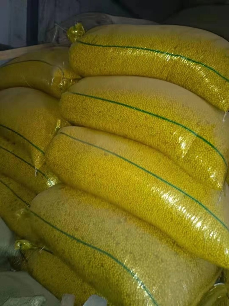 巴西乌克兰非转基因大豆，榨油厂专用豆，饲料加工豆制品加工