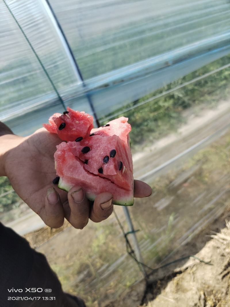 8424美都，嘉年华，，电商，超市，批发市场，都可长供应