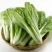 山东快菜菏泽曹县蔬菜基地常年供应，价格美丽可谈，欢迎来电
