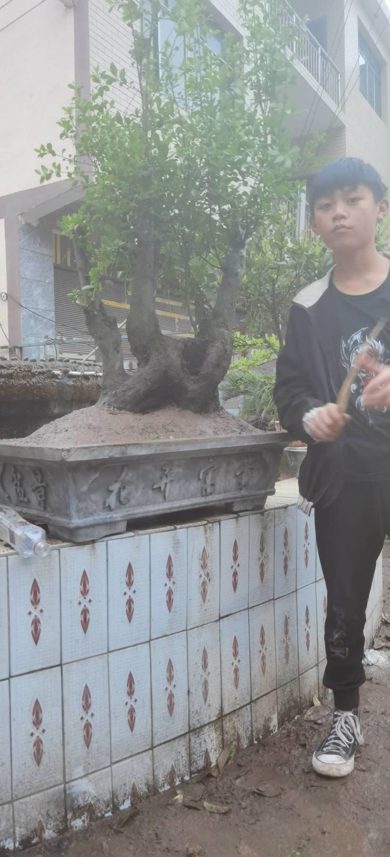 兰天竹兰天竺兰天竺兰天竺兰天竺兰天竺兰天竺