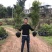 春见苗，耙耙柑苗，大雅一号，明日见，爱媛38，沃柑苗