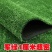 三色草草坪网工地围挡市政围墙装饰草皮铺地草坪店铺装饰