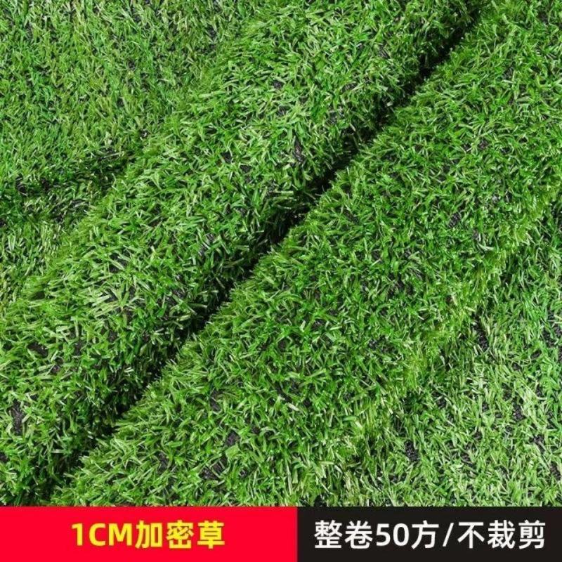 三色草草坪网工地围挡市政围墙装饰草皮铺地草坪店铺装饰