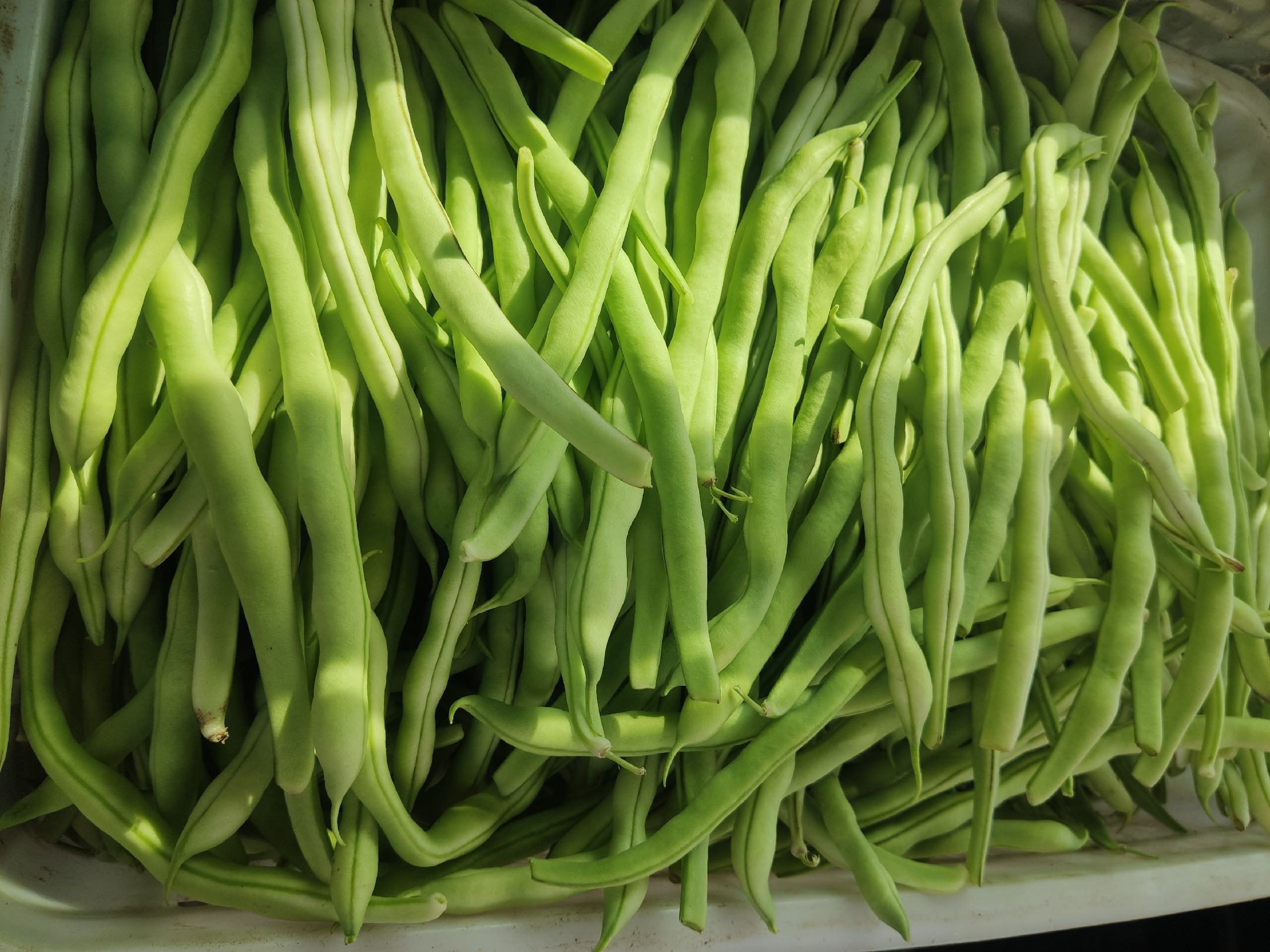 豆角烹饪技巧配图