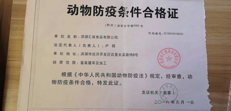 大自然的恩赐四年老鸽子，手工屠宰煨汤佳品