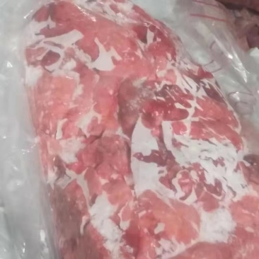 猪肺清库出10吨