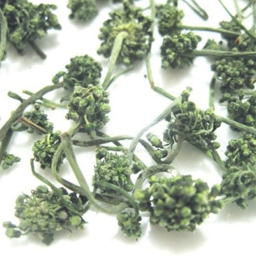 【线下年销西洋参花过万斤!各种价位等级】包邮量大视频选货