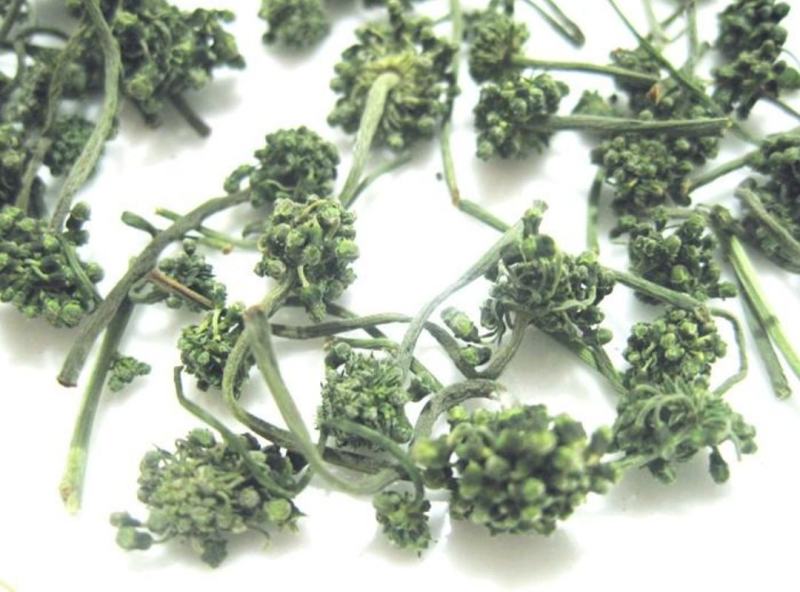 【线下年销西洋参花过万斤!各种价位等级】包邮量大视频选货