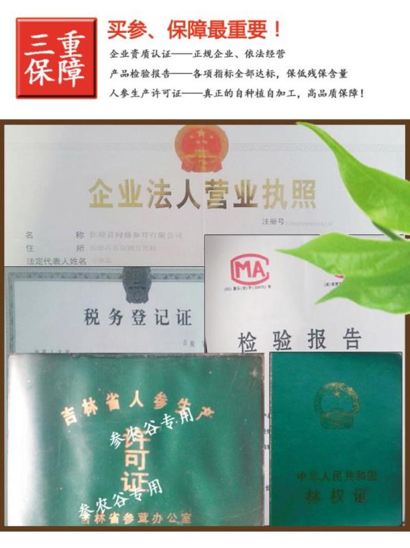 【线下年销西洋参花过万斤!各种价位等级】包邮量大视频选货