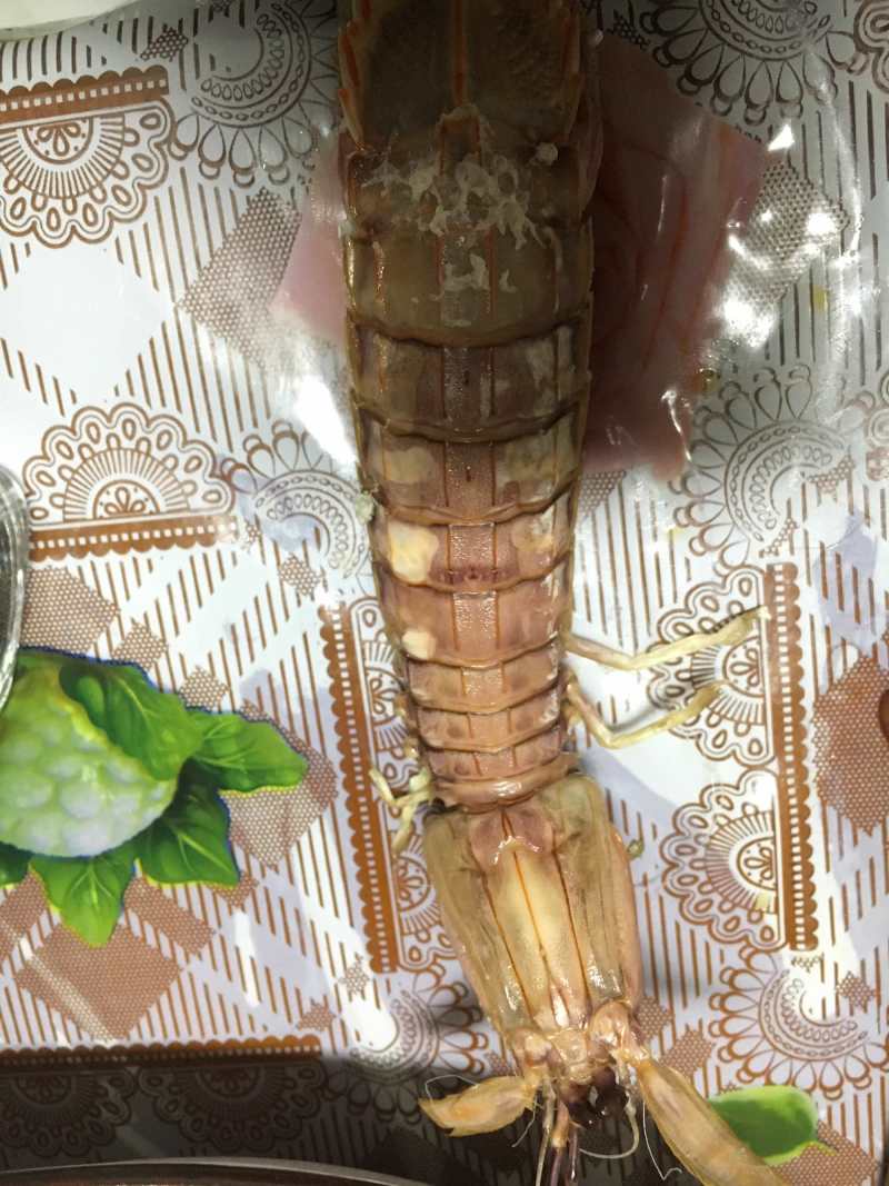 熟冻皮皮虾，虾爬活体加工(只只带膏)一斤/盒装