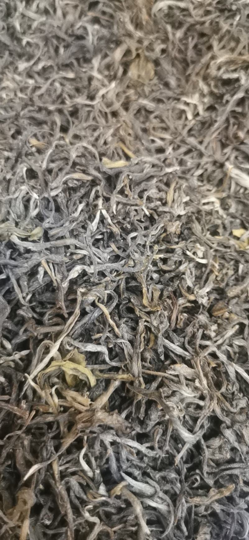 晒青毛茶
