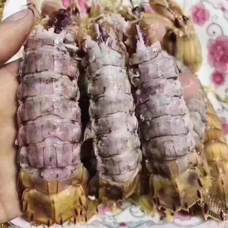 熟冻皮皮虾，虾爬活体加工(只只带膏)一斤/盒装