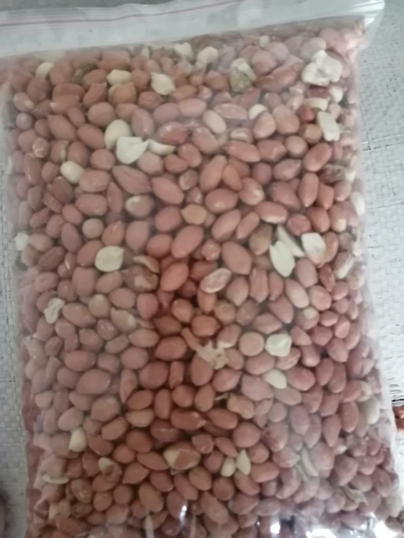 苏丹精米