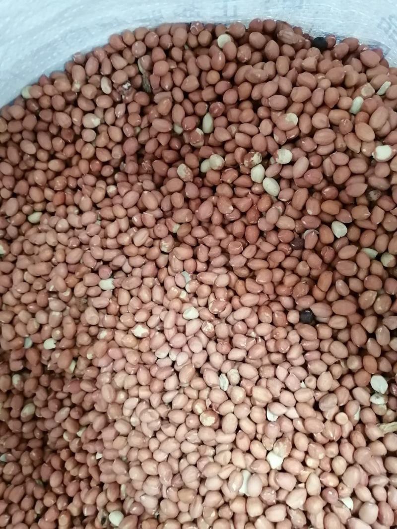 苏丹精米