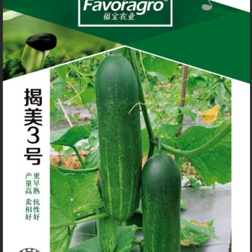 揭美3号吊瓜黄瓜种子泰国进口品种水果吊瓜种子质量超国标