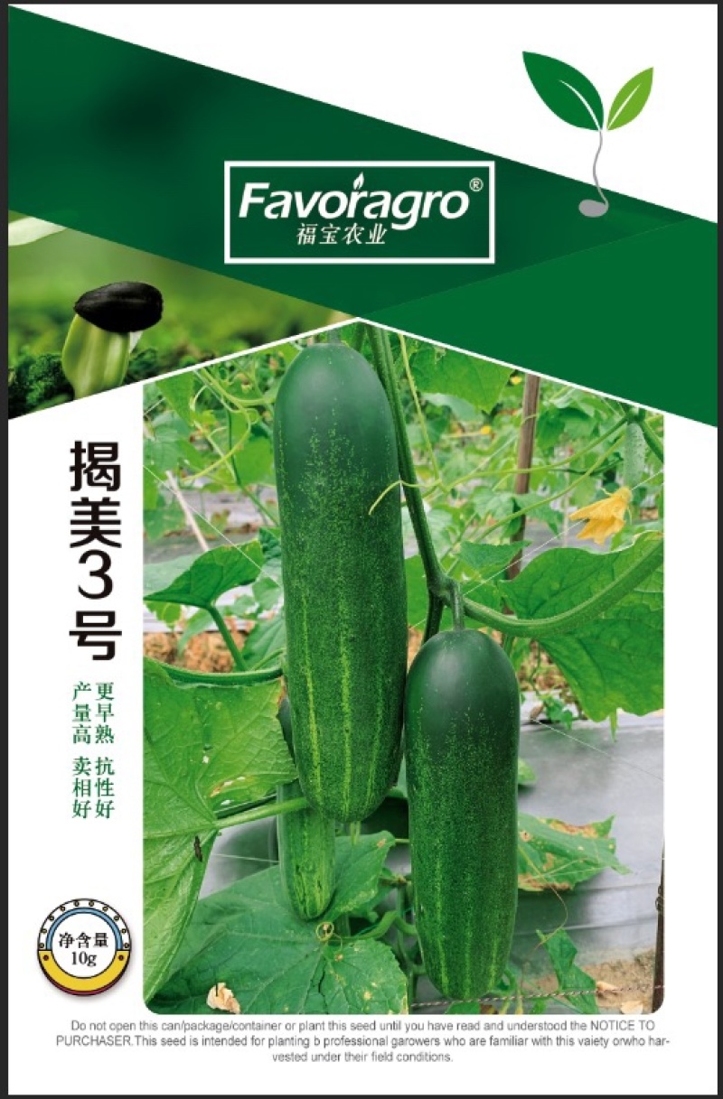 揭美3号吊瓜黄瓜种子泰国进口品种水果吊瓜种子质量超国标