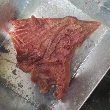 公牛牛头皮一件也是批发价一手货源价格低