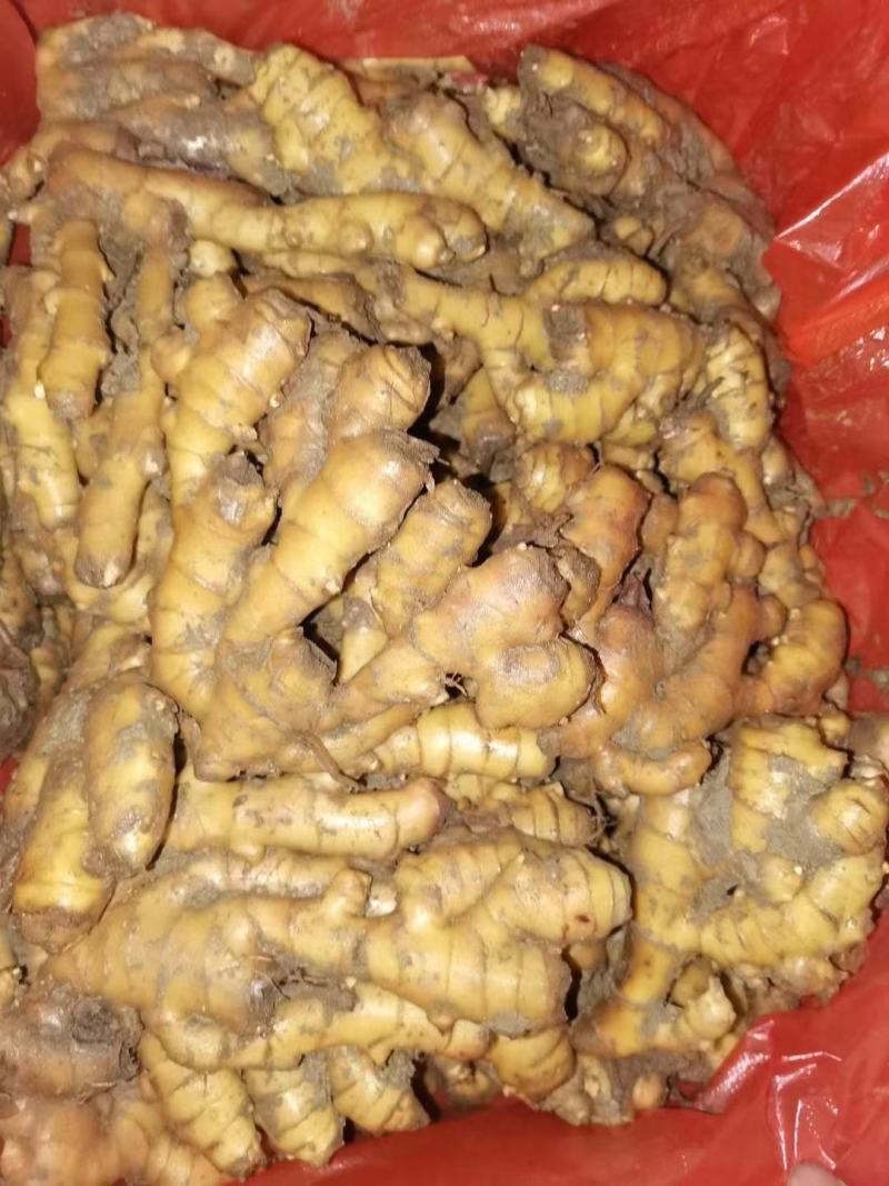 山东大黄姜，版型好看颜色蜡黄，产地直销，按需加工