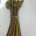 黄金小竹笋蕨菜