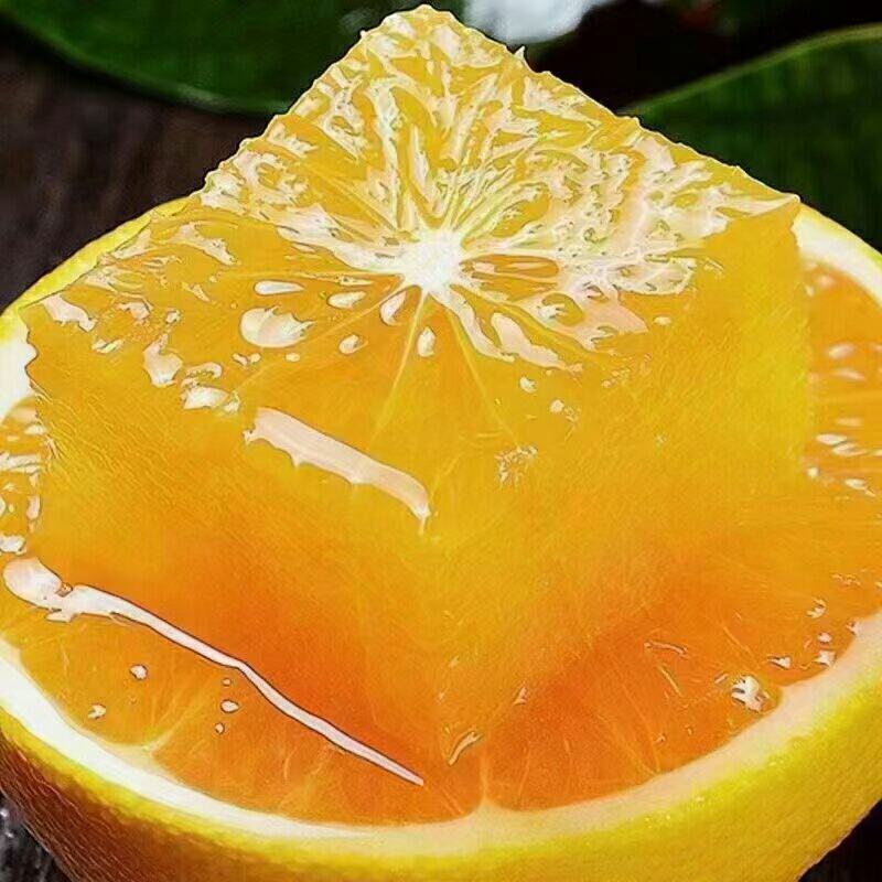 春季自然树熟秭归伦晚脐橙皮细汁多甜橙整车批发量大从优