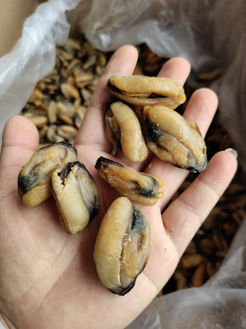 特大淡菜一斤90-100粒海虹干淡干海鲜干货北海海味