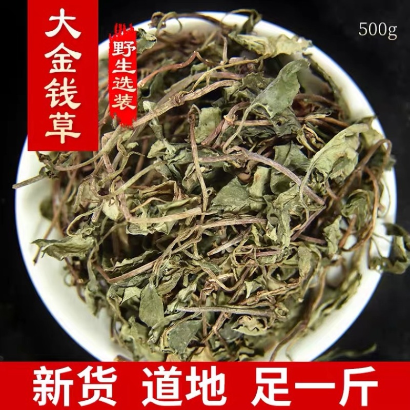 金钱草小叶金钱草观光金钱草产地直销量大从优