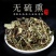 金钱草小叶金钱草观光金钱草产地直销量大从优