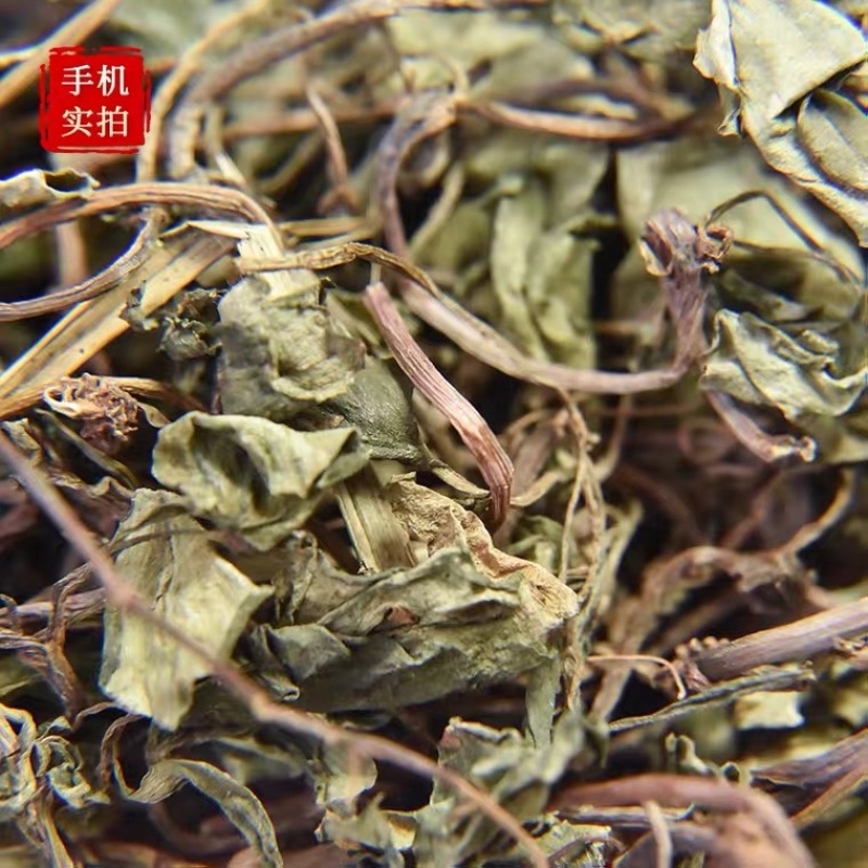 金钱草小叶金钱草观光金钱草产地直销量大从优