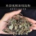金钱草小叶金钱草观光金钱草产地直销量大从优
