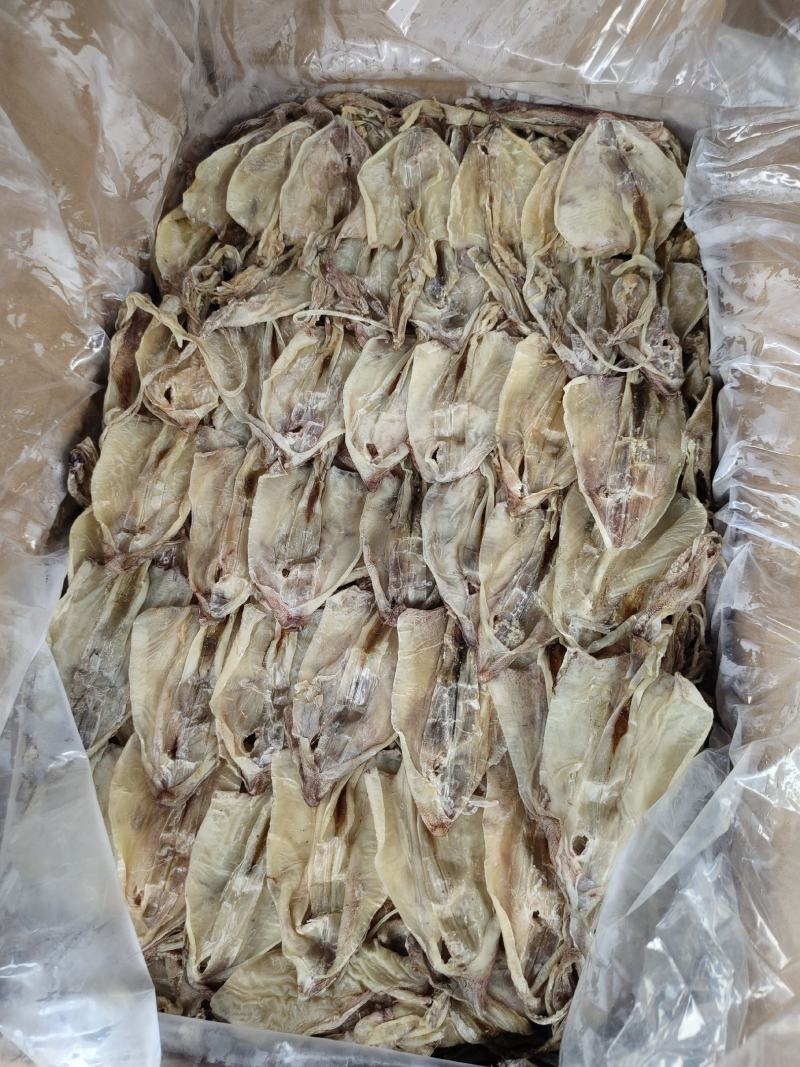 北海华侨鱿鱼仔船上晒的的北海鱿鱼中小尤无添加淡干