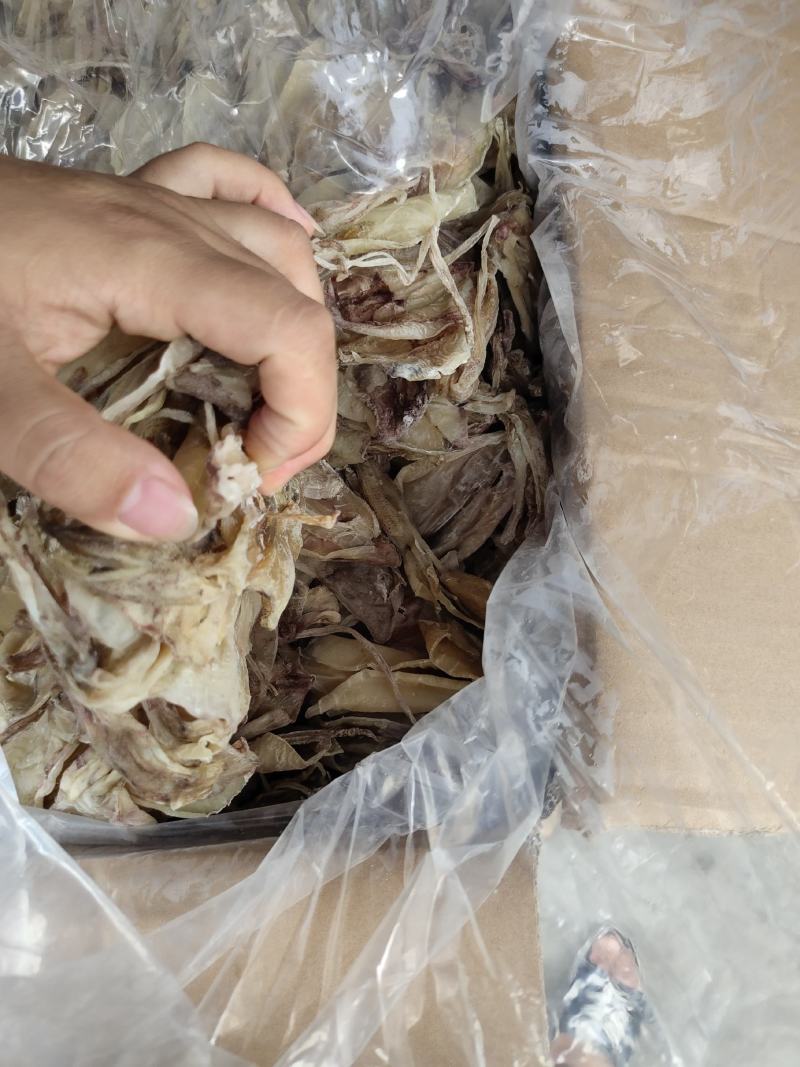 北海华侨鱿鱼仔船上晒的的北海鱿鱼中小尤无添加淡干