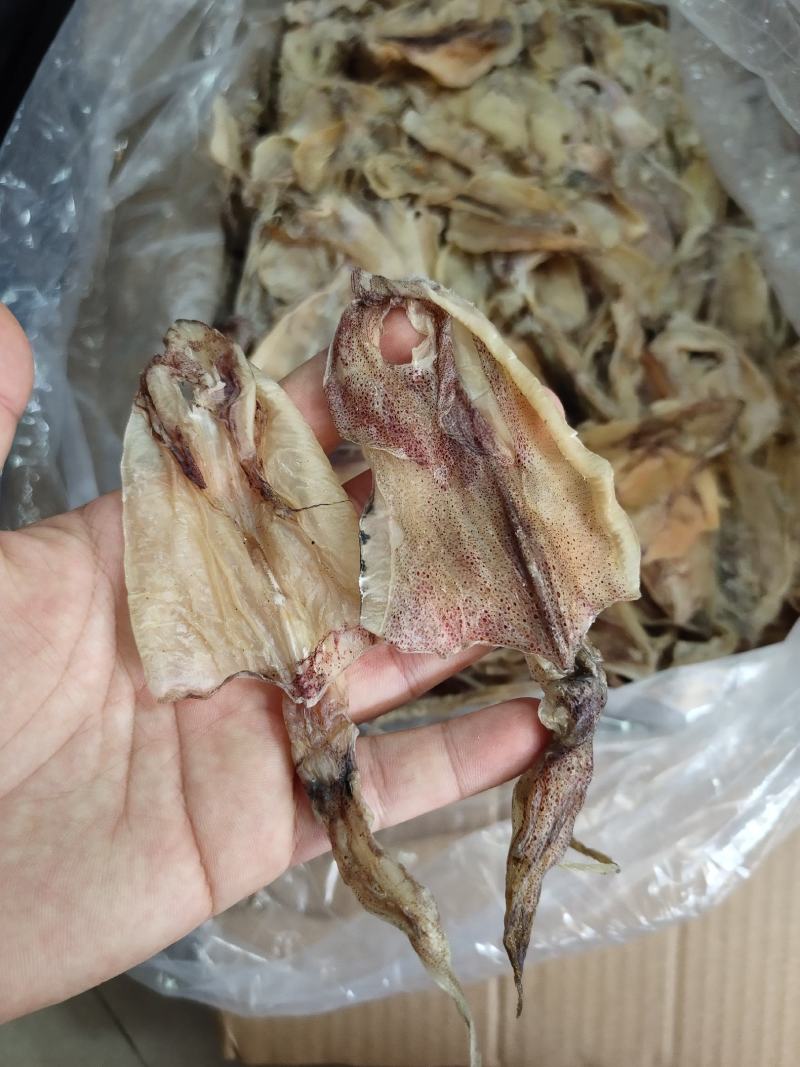 北海华侨鱿鱼仔船上晒的的北海鱿鱼中小尤无添加淡干