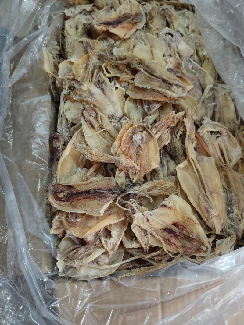 北海华侨鱿鱼仔船上晒的的北海鱿鱼中小尤无添加淡干