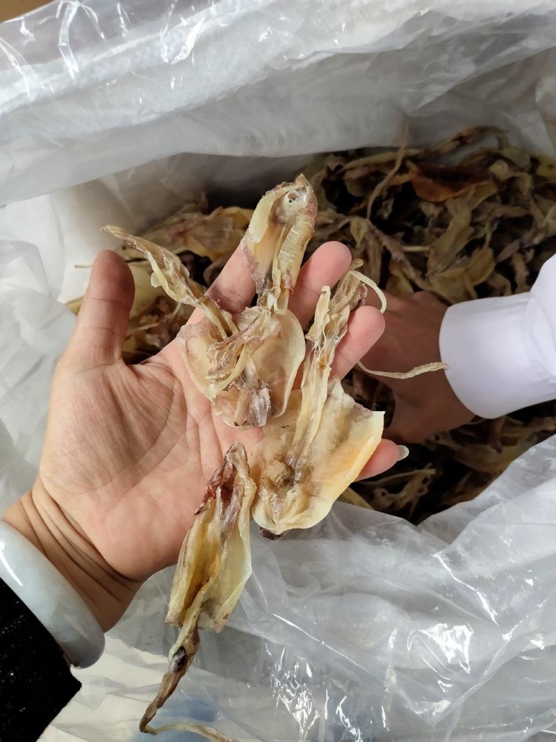 北海华侨鱿鱼仔船上晒的的北海鱿鱼中小尤无添加淡干