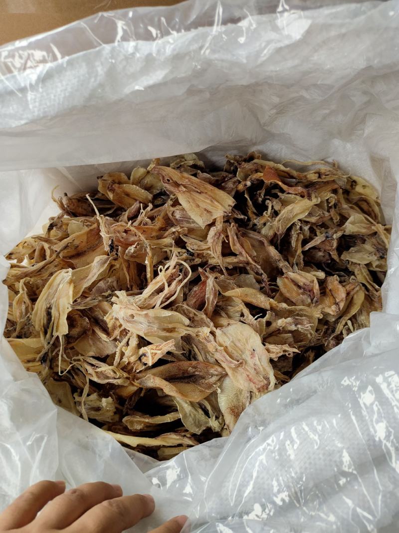 北海华侨鱿鱼仔船上晒的的北海鱿鱼中小尤无添加淡干