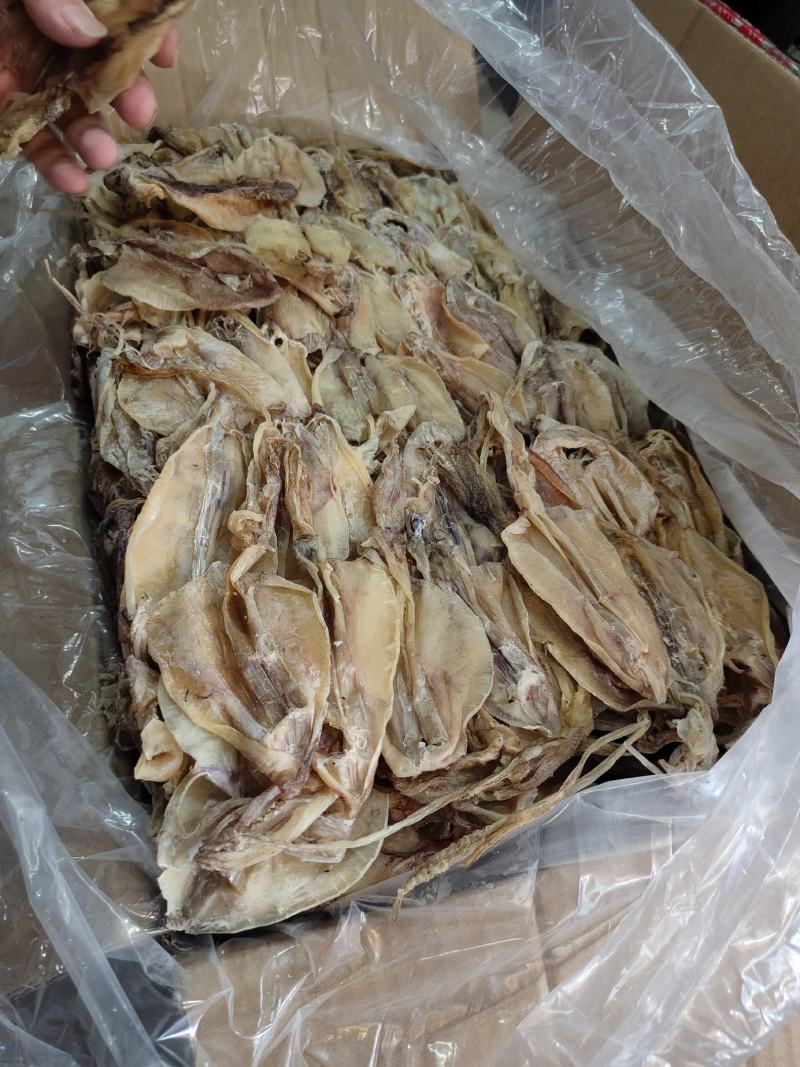 北海华侨鱿鱼仔船上晒的的北海鱿鱼中小尤无添加淡干