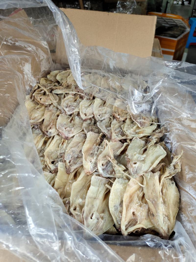 北海华侨鱿鱼仔船上晒的的北海鱿鱼中小尤无添加淡干