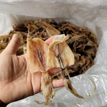 北海华侨鱿鱼仔船上晒的的北海鱿鱼中小尤无添加淡干
