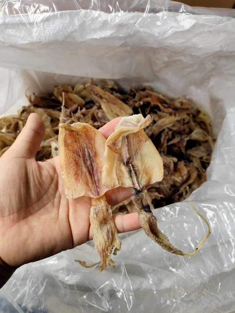 北海华侨鱿鱼仔船上晒的的北海鱿鱼中小尤无添加淡干