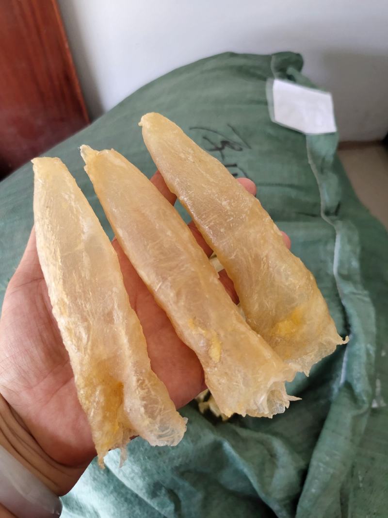 一手货源批发花胶鱼胶非黄花胶筒巴沙鱼胶鱼胶28头一斤