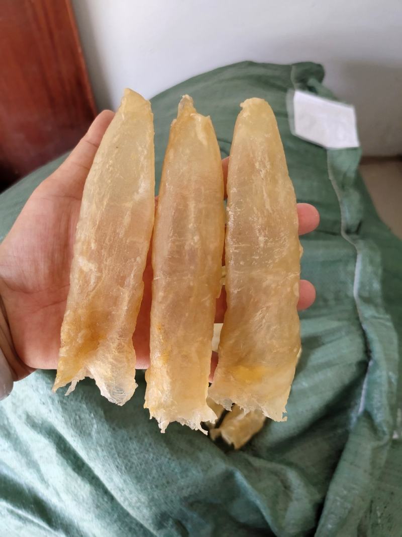 一手货源批发花胶鱼胶非黄花胶筒巴沙鱼胶鱼胶28头一斤