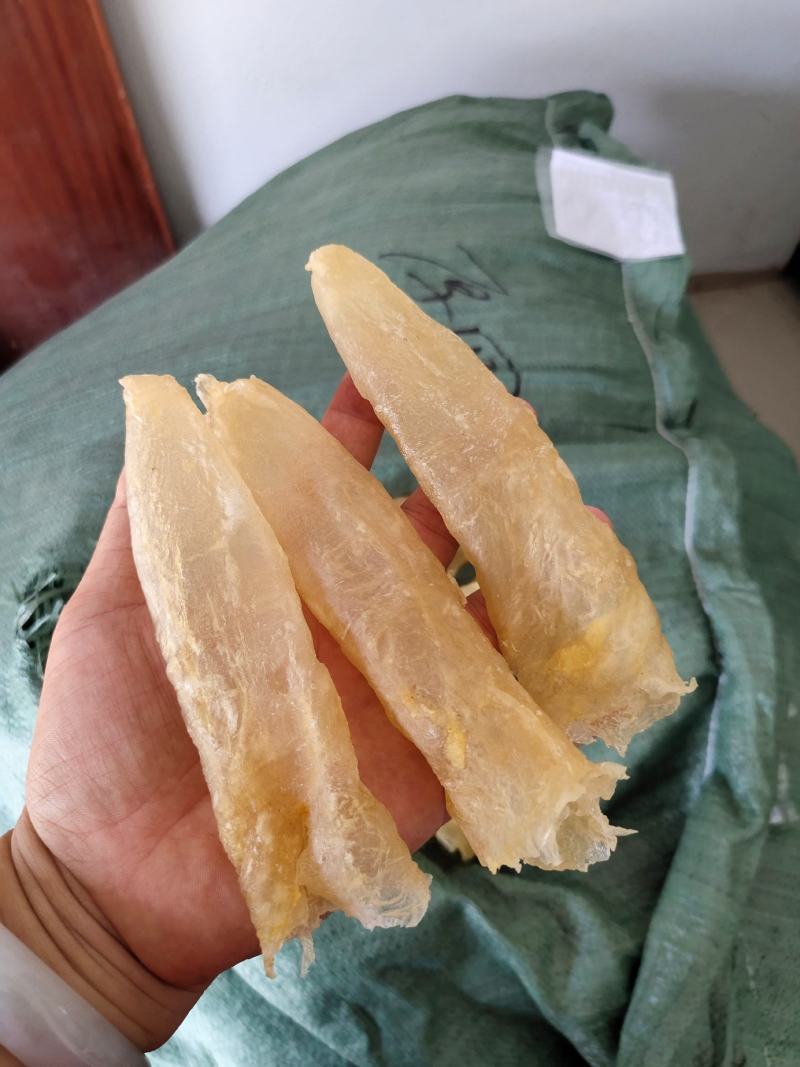 一手货源批发花胶鱼胶非黄花胶筒巴沙鱼胶鱼胶28头一斤