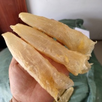 一手货源批发花胶鱼胶非黄花胶筒巴沙鱼胶鱼胶28头一斤