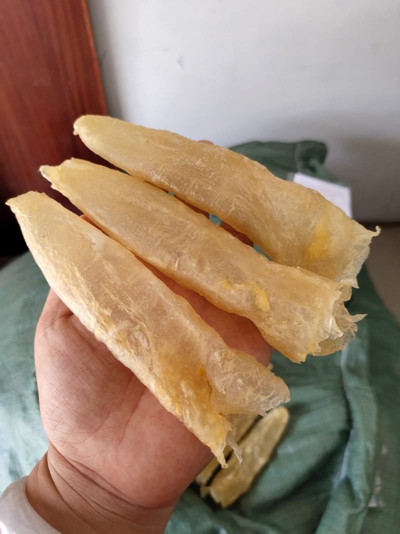 一手货源批发花胶鱼胶非黄花胶筒巴沙鱼胶鱼胶28头一斤