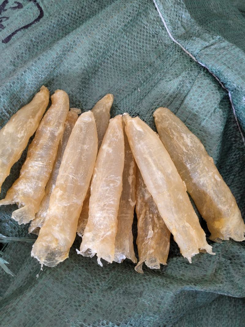 一手货源批发花胶鱼胶非黄花胶筒巴沙鱼胶鱼胶28头一斤